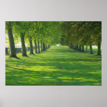 Tree Valley Print