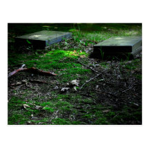 Tree Vein & Tombs Postcard