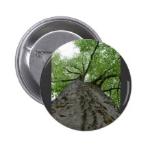 Tree View Pinback Button