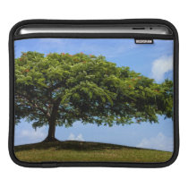 tree was true ipad sleeves