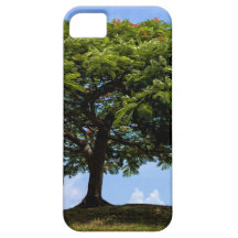 tree was true iPhone 5 covers