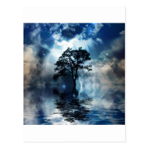 Tree & Water Post Cards