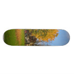 Tree With Falling Leaves In Autumn Skate Boards