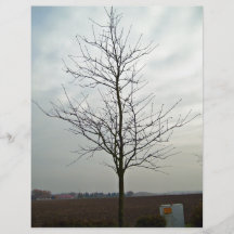 Tree without leaves against the blue sky flyer design