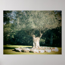 TreeHugger Poster