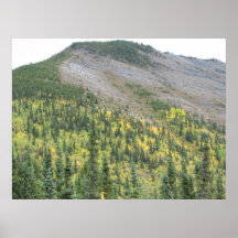 Treeline Posters
