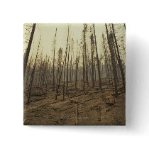 Trees after forest fire pinback buttons