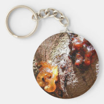 Trees Amber Sap Keychains