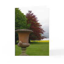 Trees and Field Card