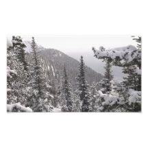 Trees and Mountains Photo Art