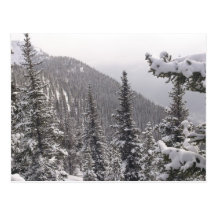 Trees and Mountains Postcard