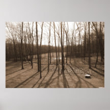 Trees and Shadows Sepia Poster/ Print