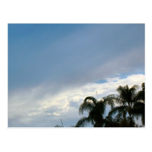 trees and sky post card