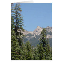 trees and untains cards