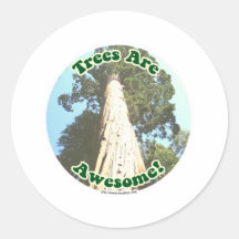 Trees are Awesome! Round Stickers
