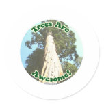 Trees are Awesome!