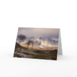 Trees at Torrin Greeting Cards