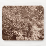 Trees by the Canal Mouse Pads