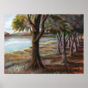 TREES BY THE LAKE posters