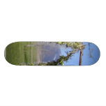 Trees Cottenwoods Mountains Branches Skate Deck
