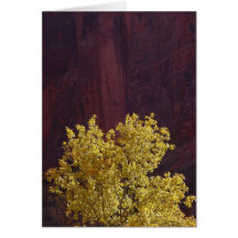 Trees Fall Greeting Card