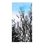 Trees in Snow Photo Card