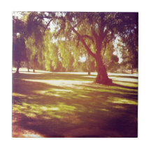 Trees in the Meadow Ceramic Tiles