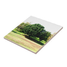 Trees In The Park Tile