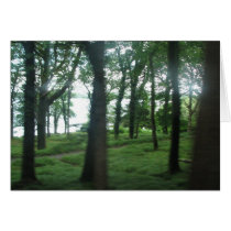 Trees of County Kerry Card