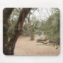 Trees on a Foggy Day Mousepad