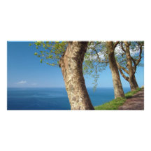Trees overlooking the ocean photo greeting card