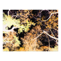 trees photographic print