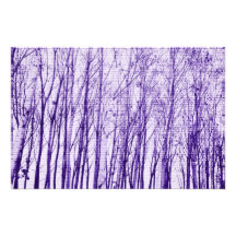 trees photo