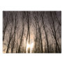 trees