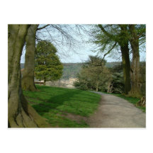 Trees Post Card