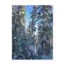 Trees Postcards