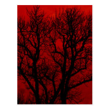 Trees Postcards