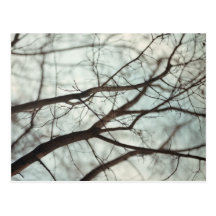 Trees Postcards