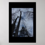 trees print