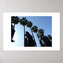 Trees Poster