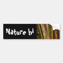 trees rejoice bumper sticker