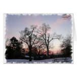 Trees with a sunset greeting cards