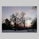 Trees with a sunset posters