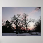 Trees with a sunset poster