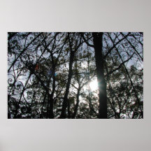 Trees with Gazebo & Sun - Poster