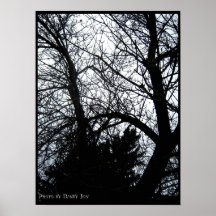 TreeShadow Poster