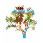 TreeShirts - Exotic Colorful Tree-Shirts