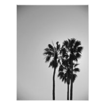 Treesome Photographic Print
