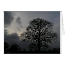 treesunset greeting cards