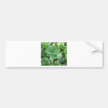 Trèfle de quatre feuilles adhésifs pour voiture